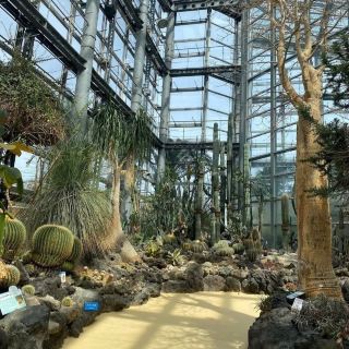 森口的溫室，匯集了來自世界各地的植物