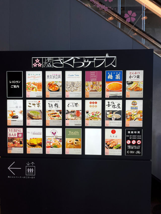 🌸【上野】さくらテラス｜公園直結のマルチなグルメスポット🍴✨