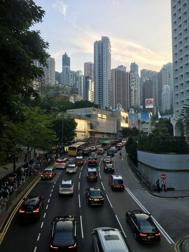 🇭🇰🛫홍콩 ✨당일치기 여행 코스✨총정리 (하루 만에 핵심만 즐기기!)