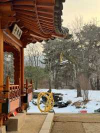 ๐๏ธ ํ๊ตญ ์ ํต๋ฏธ์ ์ ์ โจ ํธ์๋ฏธ์ ๊ด & ํฌ์ ๐ธ