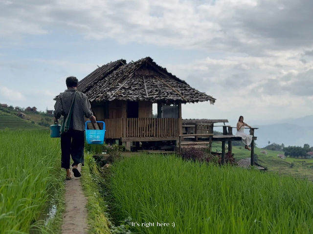 ดาวบ้านดอย โฮมสเตย์ป่าบงเปียง 💚🌾