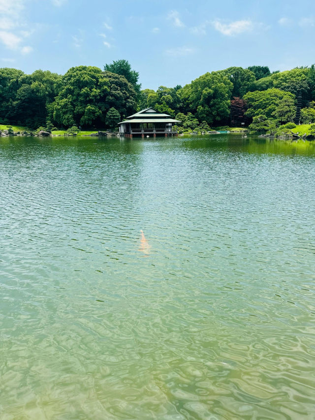 【清澄庭院｜東京深巷裡的幽靜庭園】