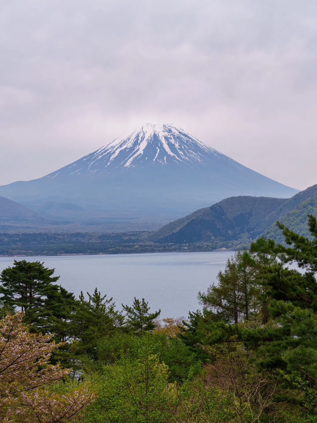 【富士山腳下｜仰望聖山的寧靜時光】
