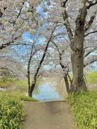 🌸 경주 여행