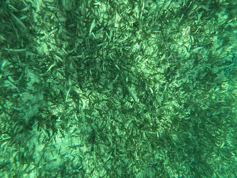 ์นธ์ฟค ์กํฐ๋นํฐ ํ์ ์ ๊ธ๋ณดํธ ์นธ์ฟค ์กํฐ๋นํฐ ํ์ ์ ๊ธ๋ณดํธ