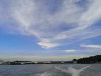 The Dive of the Sky Tyrants: On the Selangor River, Summoning a Raptor Storm with Chicken Skin