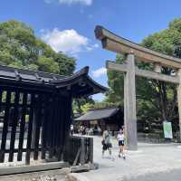 探索東京綠意：明治神宮一日遊 🌿⛩️ 