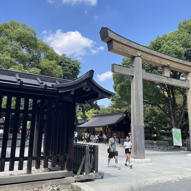探索東京綠意：明治神宮一日遊 🌿⛩️ 