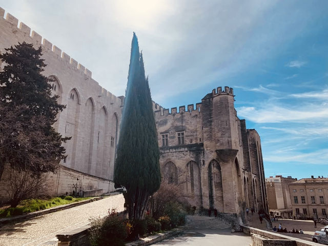 A Solo Journey Through Time: Exploring the Palais des Papes in Avignon