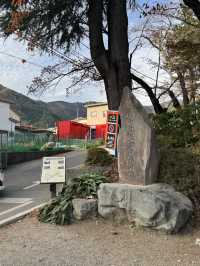 東京｜富士淺間神社｜山梨靈氣聖地｜富士山信仰的千年古祠
