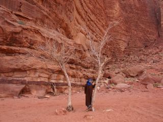 Jordan's Wadi Rum