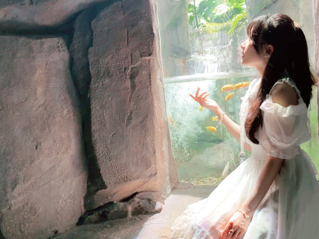 🌵【上海新地標！亞洲最大溫室花園「上海溫室花園」開放啦～沙漠雨林一次看夠，隨手一拍就是科幻大片！】🌵
