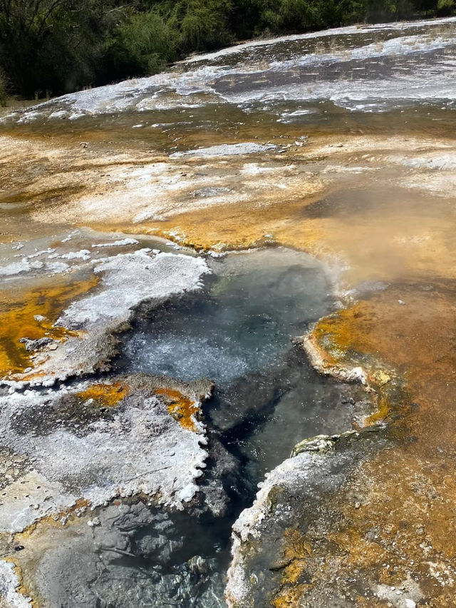 Waiotapu Thermal Wonderland: A Surreal Geothermal 