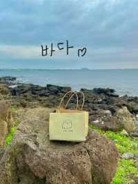 🌴 제주도 여행 – 애월 & 협재 & 비밀의 숲 감성 충전 🌊✨