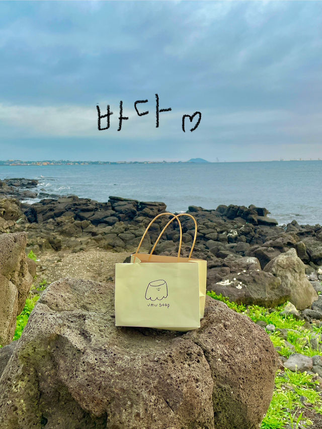🌴 제주도 여행 – 애월 & 협재 & 비밀의 숲 감성 충전 🌊✨