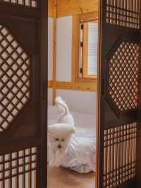 프라이빗 마당에서 즐기는 별빛 낭만 촌캉스🌌
