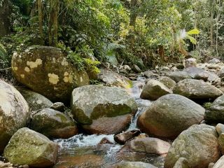 Tioman Paya ATV: An Off-Road Adventure Through Jungle and Beach