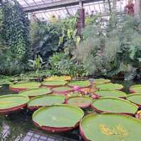 Kew Gardens (큐 가든, Royal Botanic Gardens)