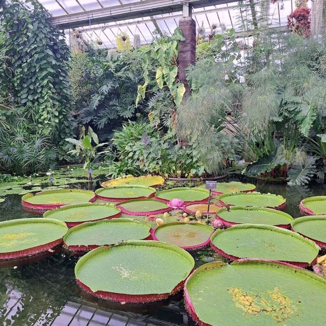 Kew Gardens (큐 가든, Royal Botanic Gardens)