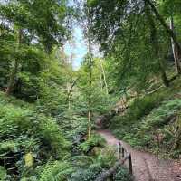 Discover Natural Wonder at Canonteign Falls