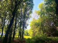 Discovering the Vibrant Spirit of Melide