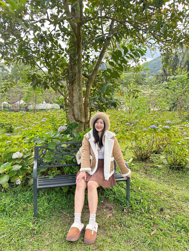 22 AQUARIUS Glamping Cafe