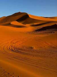 Immersed in the Heart of the Sahara