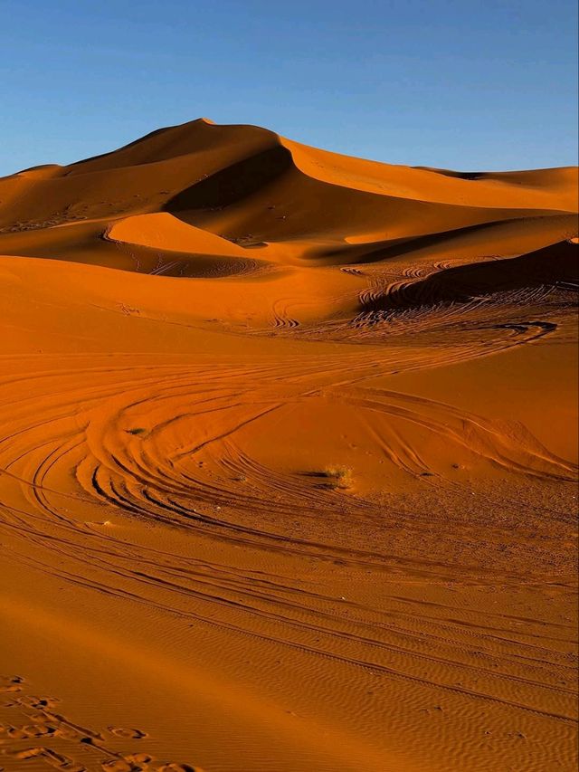 Immersed in the Heart of the Sahara