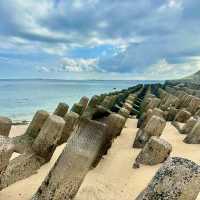 澎湖東海一日遊~巡航無人島、潮間帶及海上活動