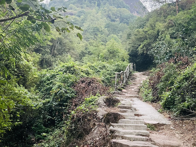 武夷山+雲水謠+廈門之旅十天九夜呼朋引伴