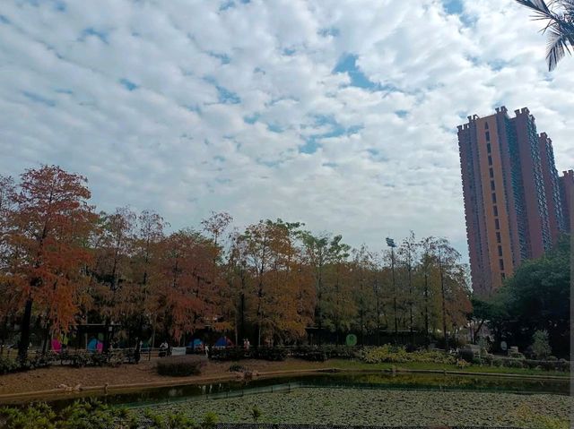 Tsing Yi Park Tsing Yi Park