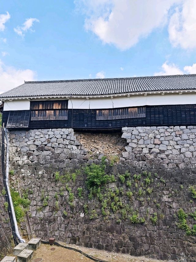 熊本城🏯歷史與🇯🇵重生之旅