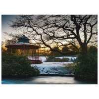Winter Wonders at Sefton Park, Liverpool
