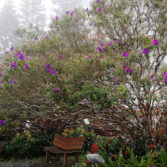 Talking Garden @ SkyAvenue Genting – Whispering Leaves & Interactive Green Spaces