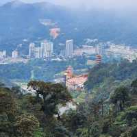 Talking Garden @ SkyAvenue Genting – Whispering Leaves & Interactive Green Spaces
