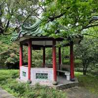 🌸⛰️ Yangming Park – The Heart of Yangmingshan 🌳✨