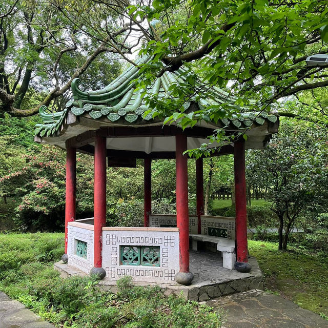 🌸⛰️ Yangming Park – The Heart of Yangmingshan 🌳✨
