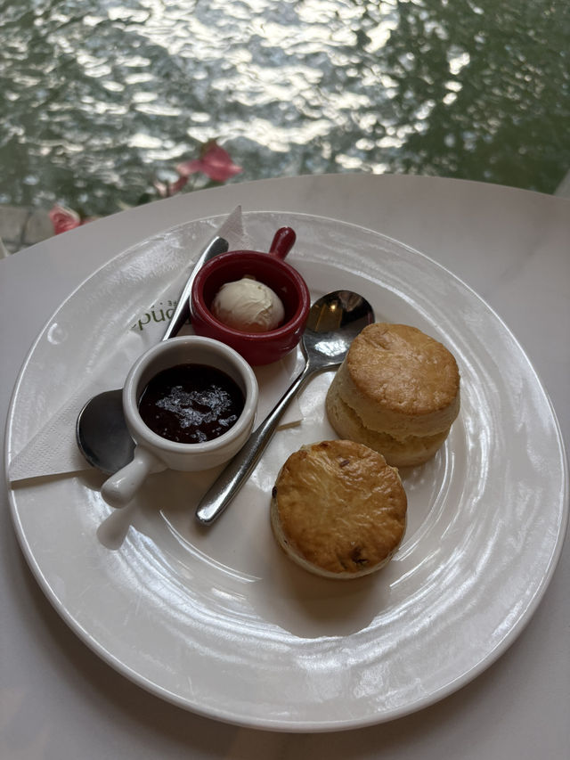 香港公園靚靚cafe 園林中用餐的體驗 香港公園靚靚cafe 園林中用餐的體驗