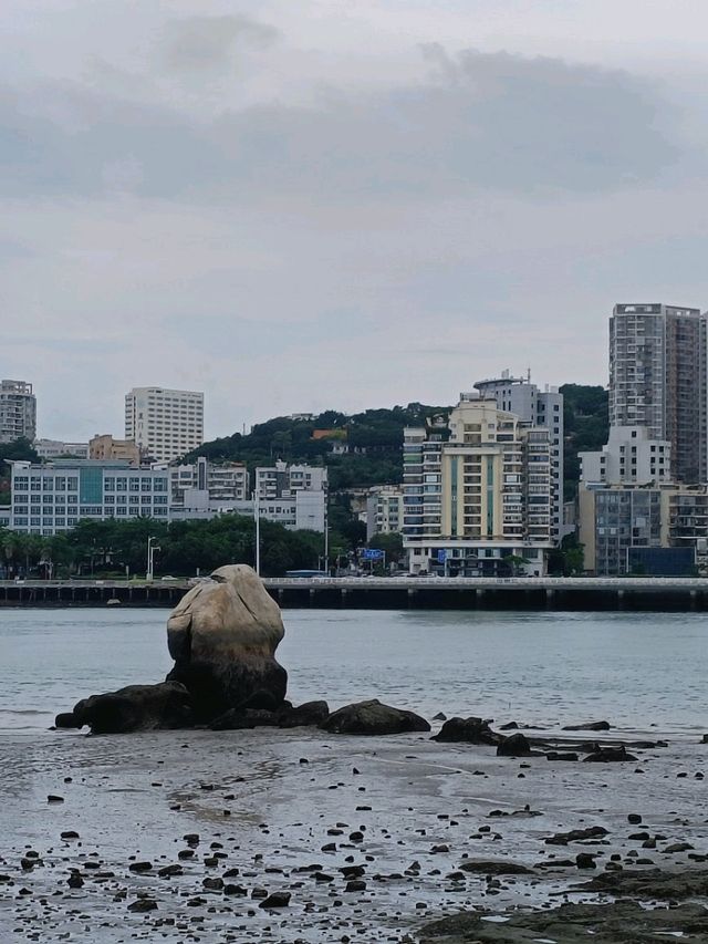 廈門至鼓浪嶼VIP船票服務