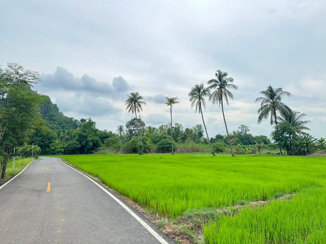 บ้านมุง หมู่บ้านเล็กๆ ในอำเภอเนินมะปราง 🌿