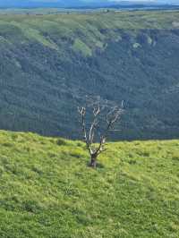 “絶景駐車場”として気軽に立ち寄れる、ドライブで楽しむ阿蘇の眺望スポット
