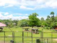 เอสเธอร์พาเที่ยวสวนสัตว์เปิดเขาเขียว
