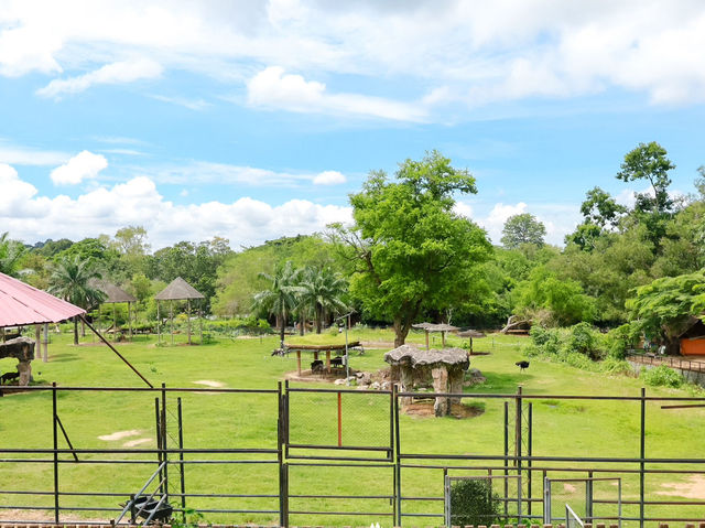 เอสเธอร์พาเที่ยวสวนสัตว์เปิดเขาเขียว