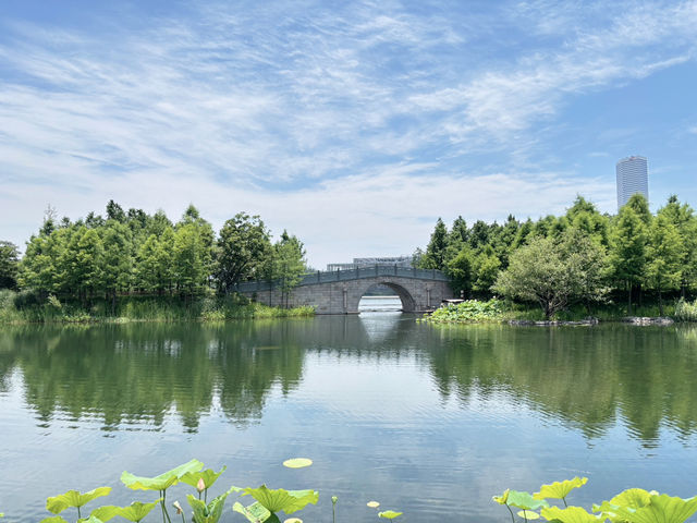  上海世博文化公園「申園」：都市中的江南園林瑰寶
