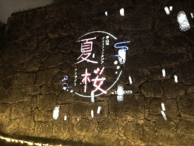 【岡山】津山城ナイトファンタジア✨光に包まれる幻想の城夜景🏯 