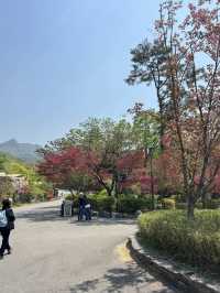 🌿 Green Oasis at Seoul Grand Park Botanical Garden  