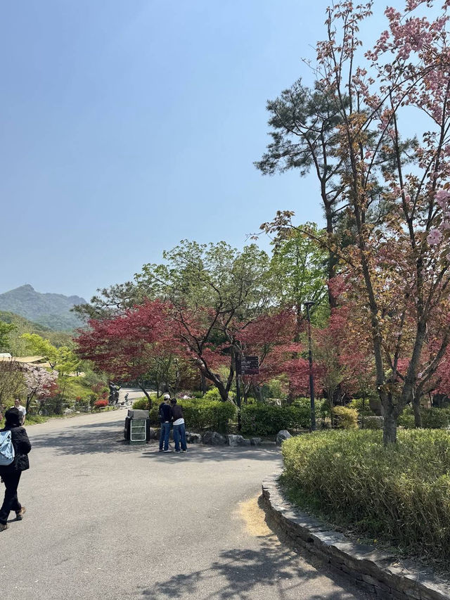 🌿 Green Oasis at Seoul Grand Park Botanical Garden  