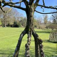 Arboretum Kalmthout
