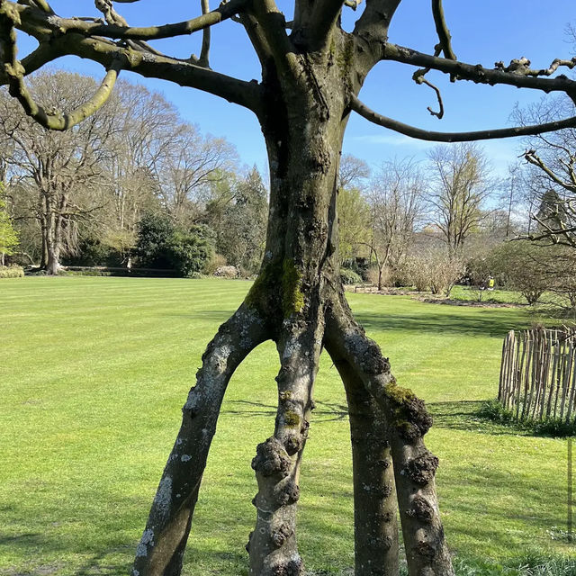 Arboretum Kalmthout