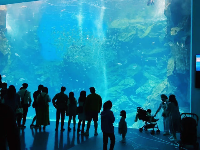 桃園 Xpark 水族館-帶孩子探索水族世界的奇幻魅力 桃園 Xpark 水族館-帶孩子探索水族世界的奇幻魅力